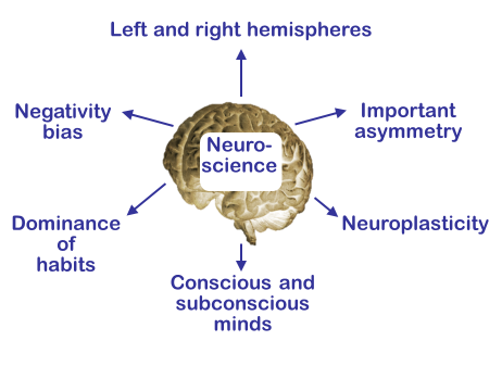 Figure 5. These features and functions of the human brain are relevant to working smarter and enhancing creativity and innovation.